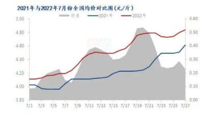 多重利好支撐，蛋市“蒸蒸日上”？-上海邦森