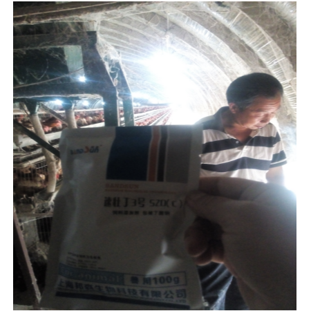 上海邦森速壯丁在蛋禽上的應(yīng)用，看看淮北客戶怎么評(píng)價(jià)
