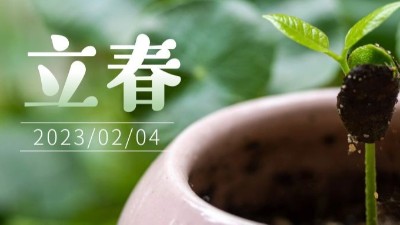 春氣始，萬物生-立春-上海邦森